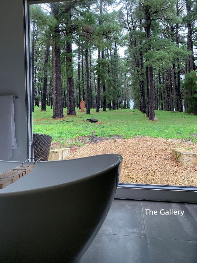 Bella Cosa Villa Mclaren Vale Bagian luar foto